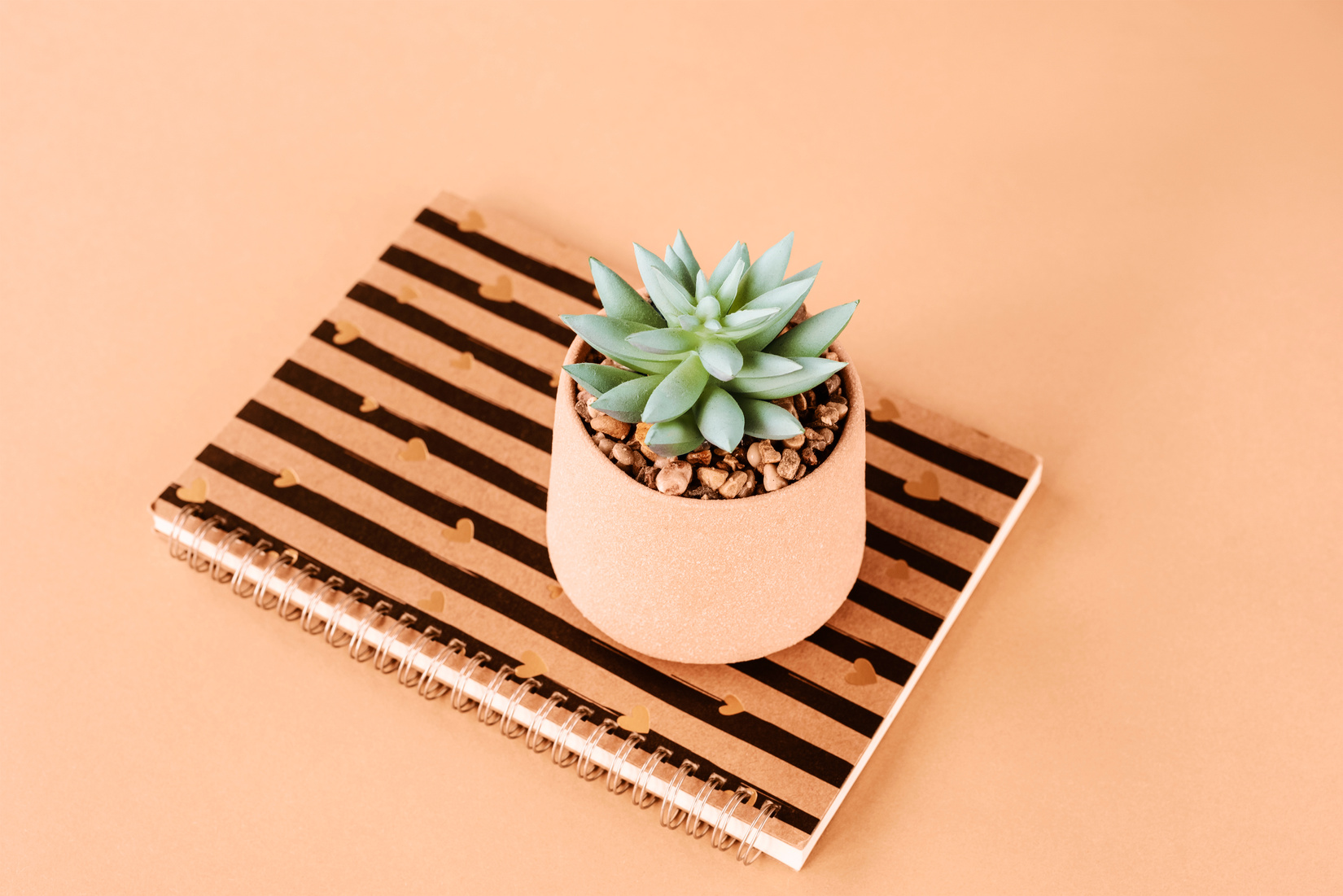 Notepad and succulent on a peachy table. Minimal composition. Top view. Color of the year 2024 - Peach Fuzz