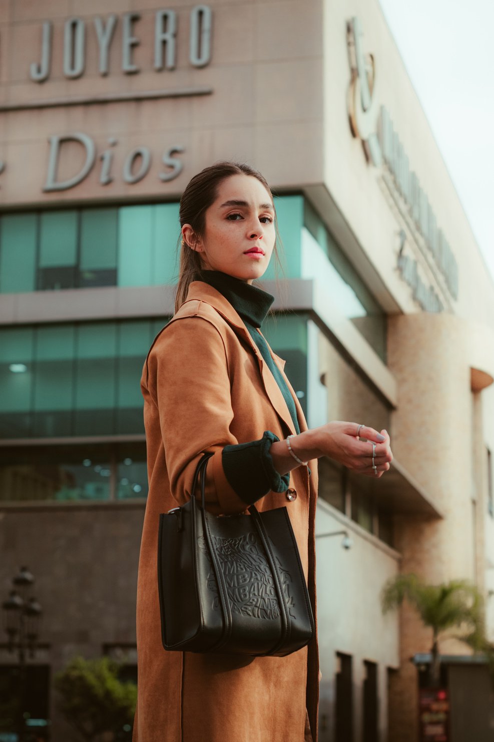 Woman in Brown Coat Carrying a Black Handbag 