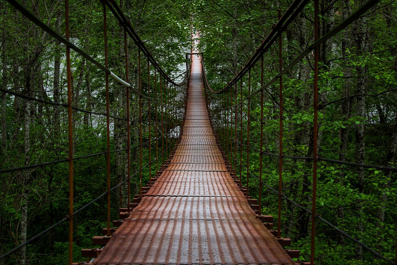 Suspension bridge over mountain river